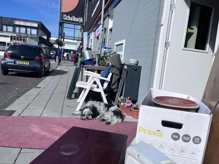 Vind Iets Retro Kringloopmarkt