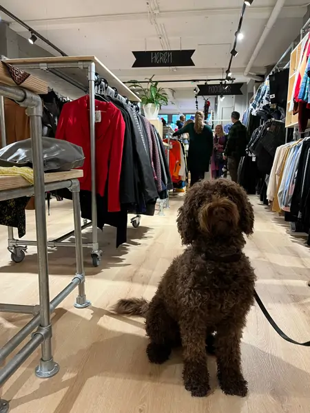 ReShare Store Amsterdam